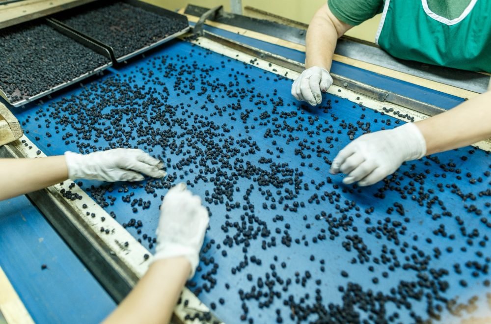 WhatsApp Image 2026-04-03 at 7.30.30 PM (3)